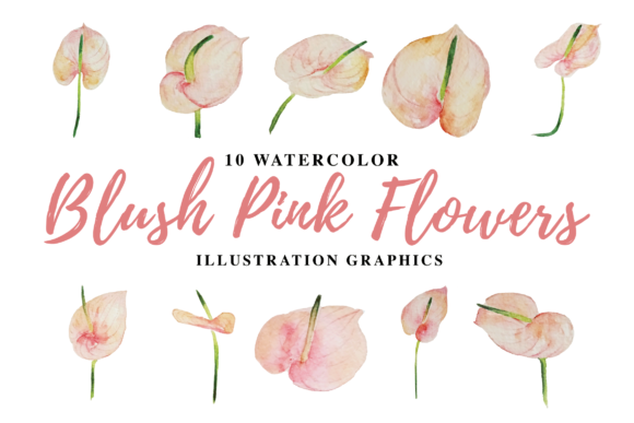 Download 10 Watercolor Blush Pink Flowers - Water Collection