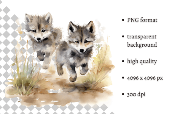Download Watercolor Wolf Illustration - Illustration Collection