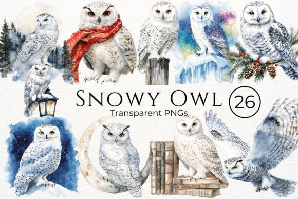 Download Snowy Owl Watercolor Clipart - Water Collection