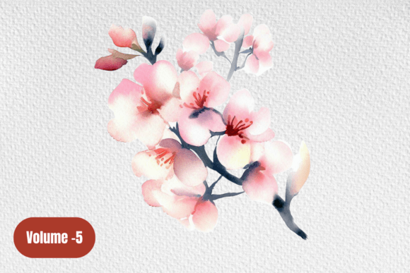 Download Cherry Blossom Pink Watercolor Clipart - Water Collection