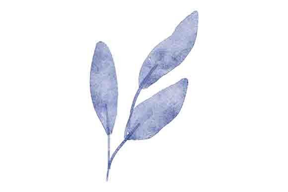 Download Leaf Foliage Watercolor Painting Element - Water Collection