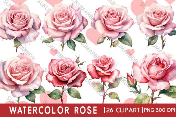 Download Watercolor Rose Clipart - Water Collection