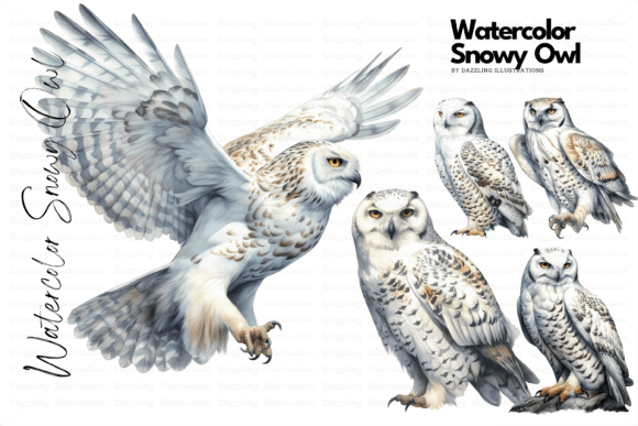 Download Watercolor Snowy Owl Set - Water Collection