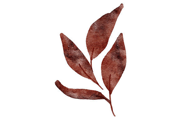 Download Watercolor Read Leaf Foliage Element - Water Collection