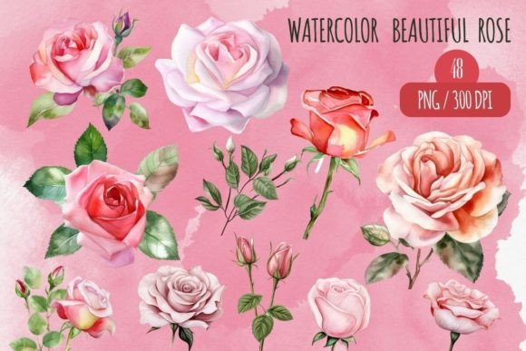 Download Watercolor Rose Clipart Set - Water Collection