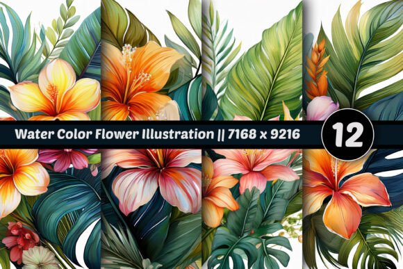 Download Water Color Flower Illustration Set 12 - Illustration Collection