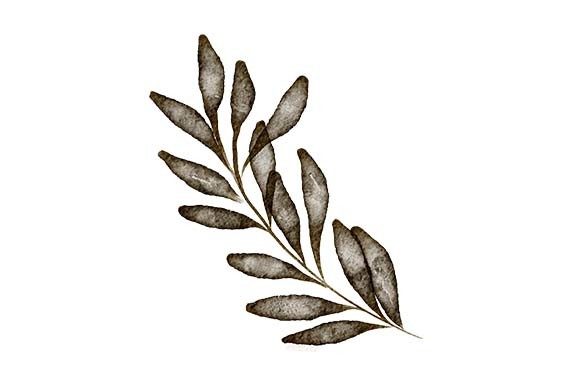 Download Watercolor Leaf Foliage Paint Element - Water Collection