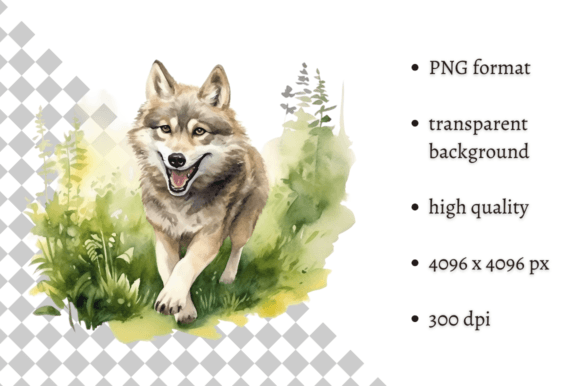 Download Watercolor Wolf PNG Illustration - Illustration Collection
