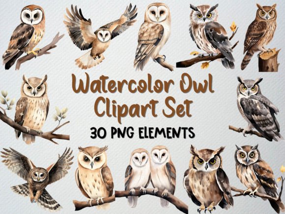 Download Watercolor Owl Clipart Set, 30 PNG - Water Collection