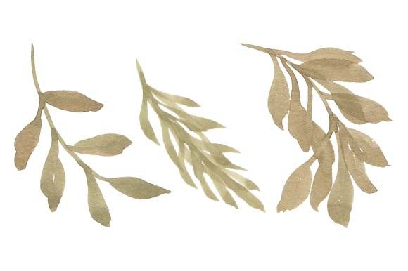Download Watercolor Leaf Foliage Paint Set - Water Collection