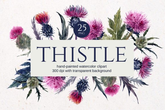Download Thistle Watercolor Floral Clipart - Water Collection