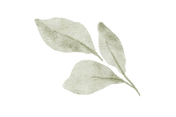 Download Greenery Watercolor Painted Leaf Foliage - Water Collection