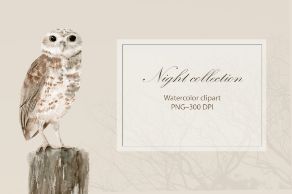 Download Watercolor Owl Clipart - Water Collection