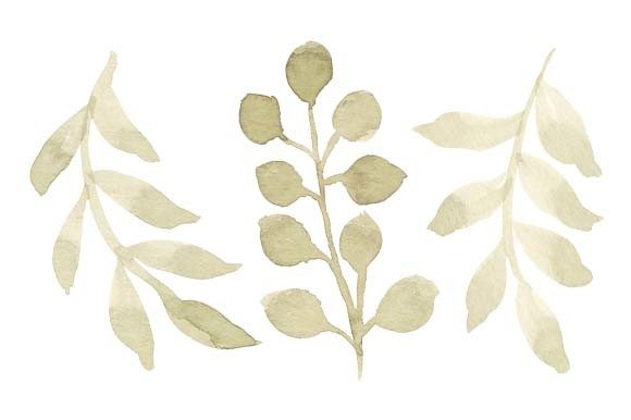 Download Watercolor Green Leaf Foliage Set Paint - Water Collection