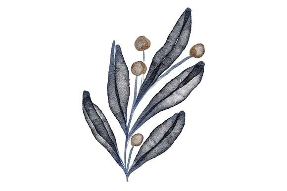 Download Watercolor Leaf Foliage Floral Element - Water Collection