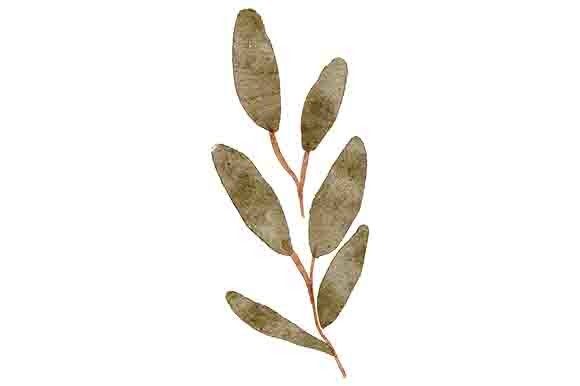 Download Watercolor Green Leaf Foliage Element - Water Collection